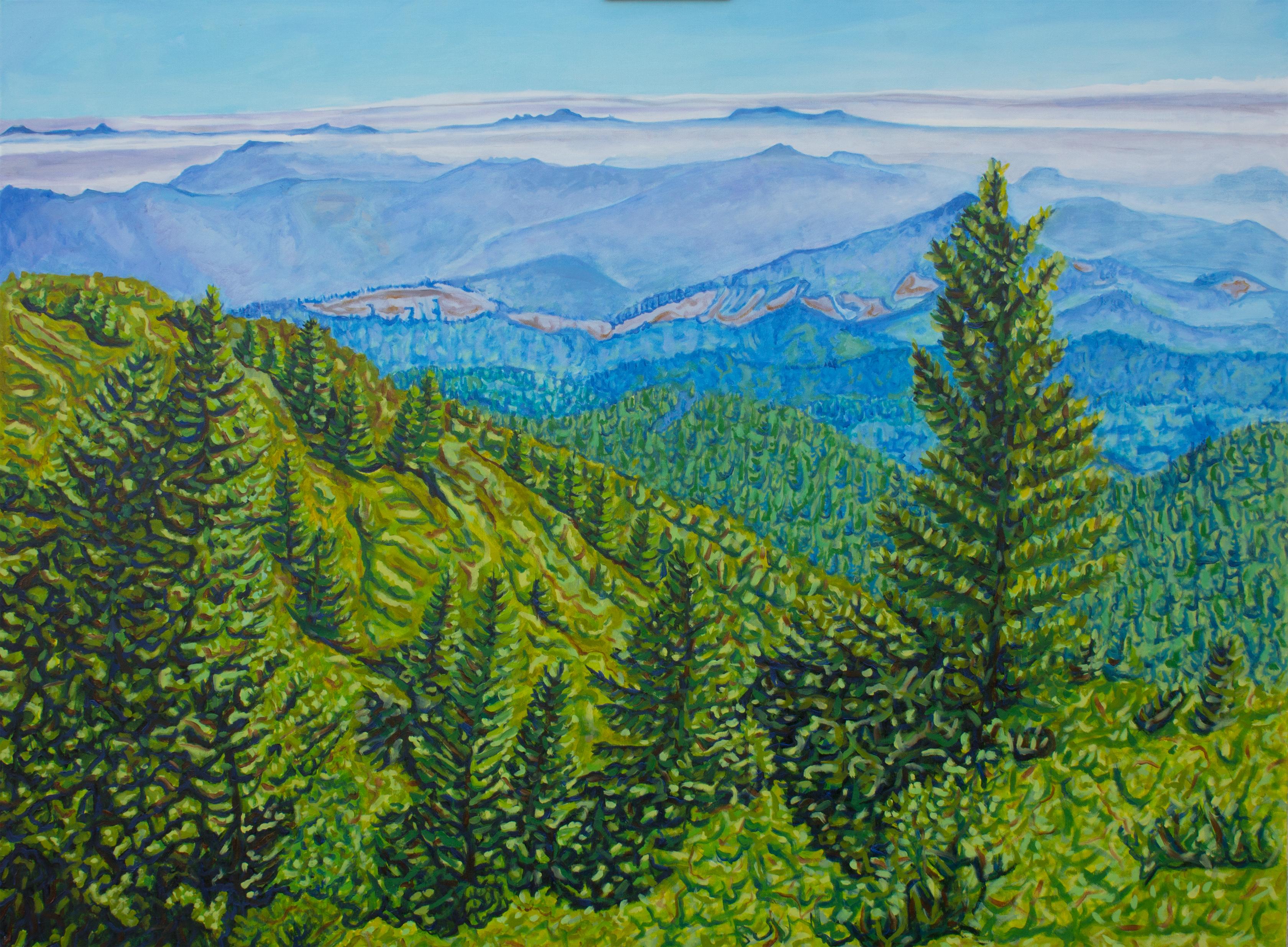 Crystal DiPietro Landscape Painting - King Range