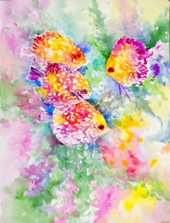 The World of Discus