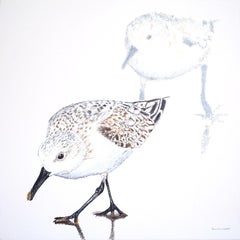 Sanderling Duo, Original Painting