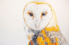 Athena the Barn Owl #3