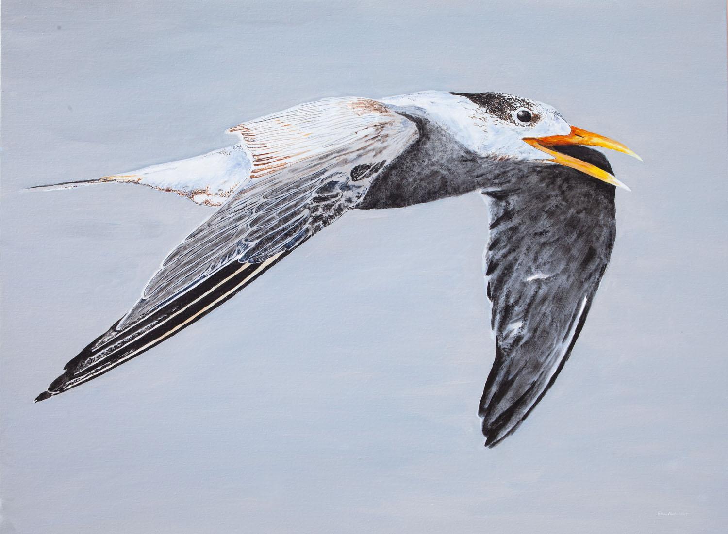Emil Morhardt Animal Painting - Great Crested Tern #1