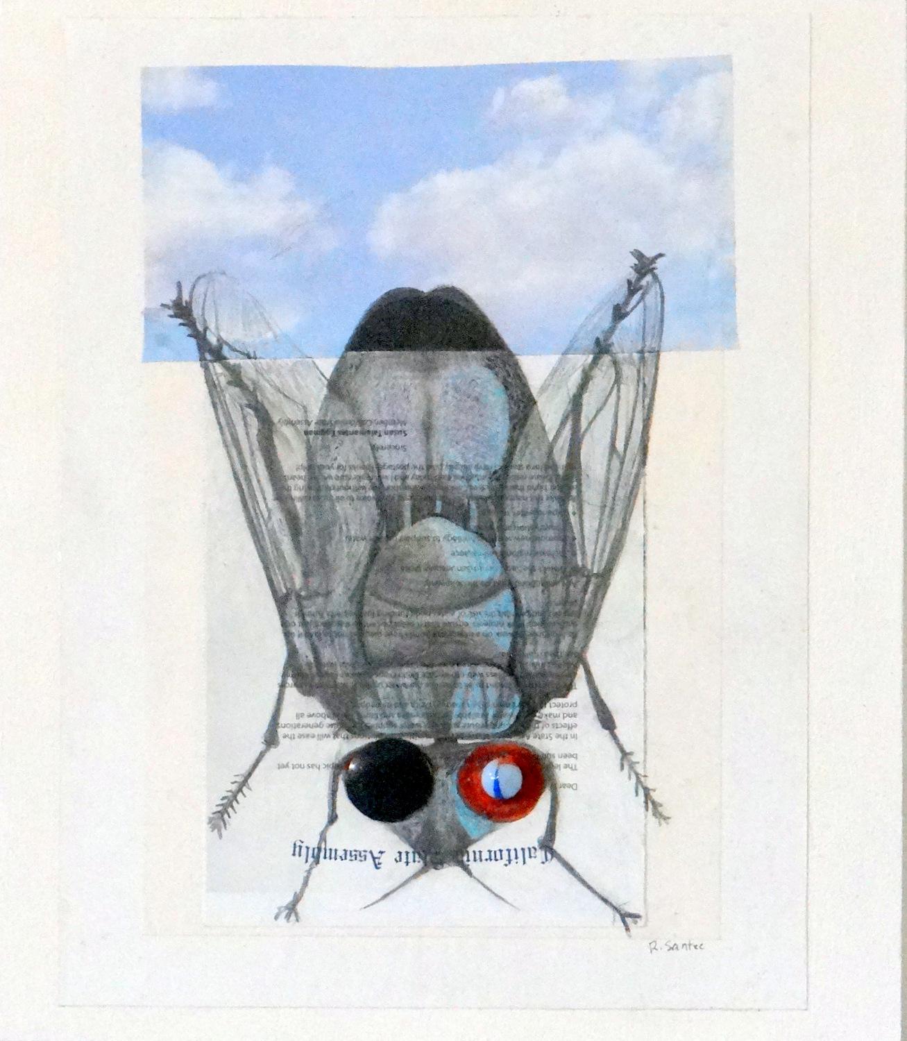Marble Eye Fly, Original Painting – Mixed Media Art von Ruth Santee