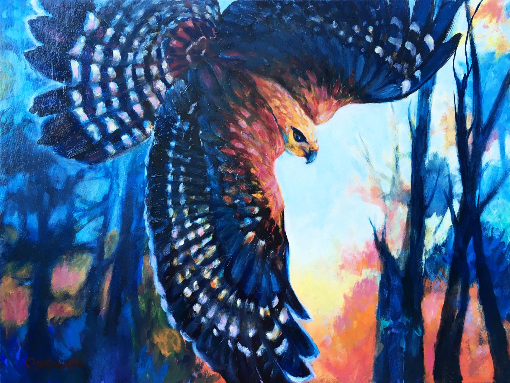 Pandalana Williams Animal Painting - Sky Hawk, Oil Painting