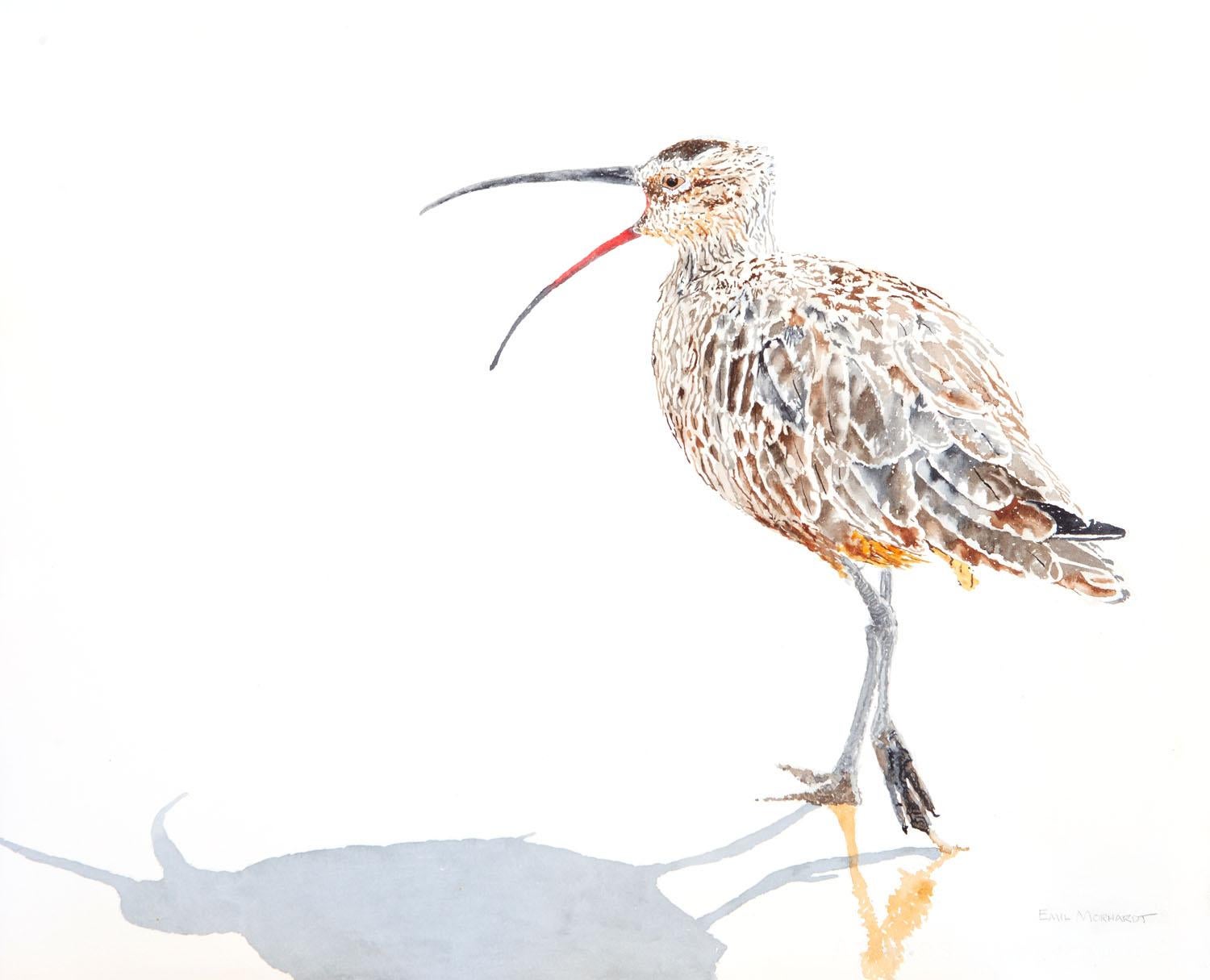 Emil Morhardt Animal Art - Whimbrel #11 Speaking Out, Original Painting