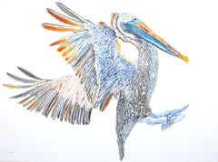 Brown Pelican Incoming, Original Painting