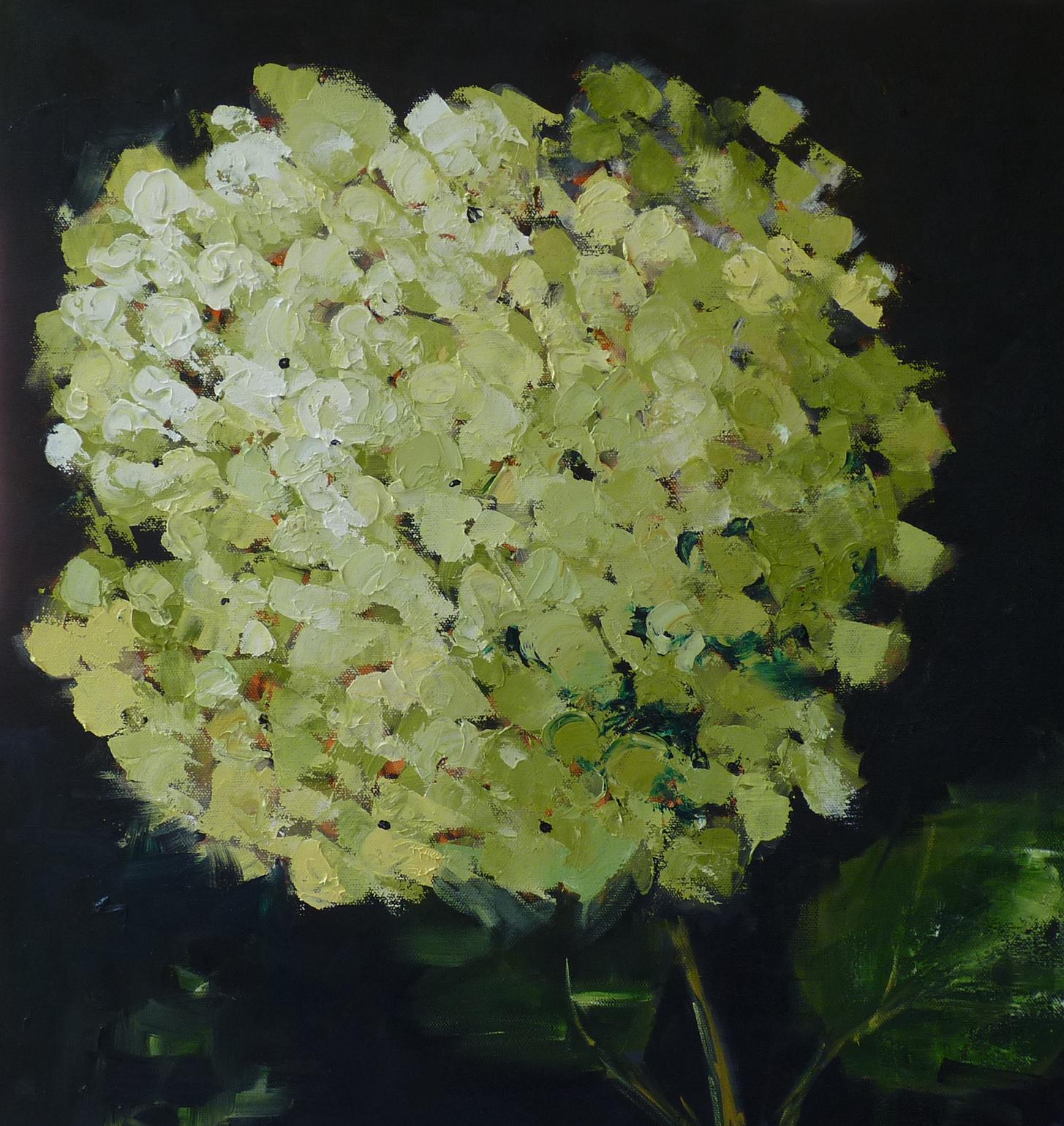 Judy Mackey Still-Life Painting - Green Hydrangea, Oil Painting