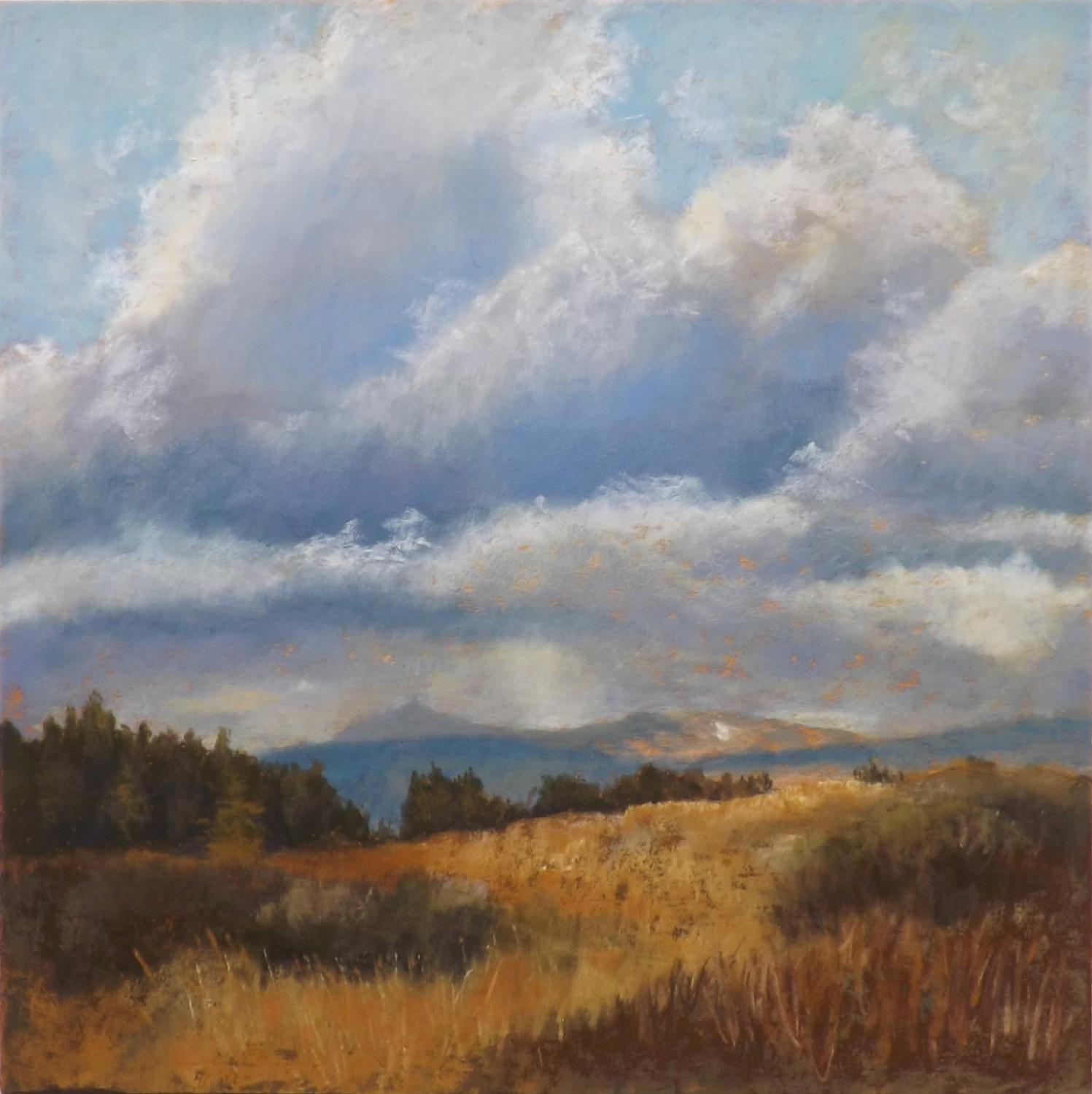 High Country Summer, Original Painting - Art by Patricia Prendergast