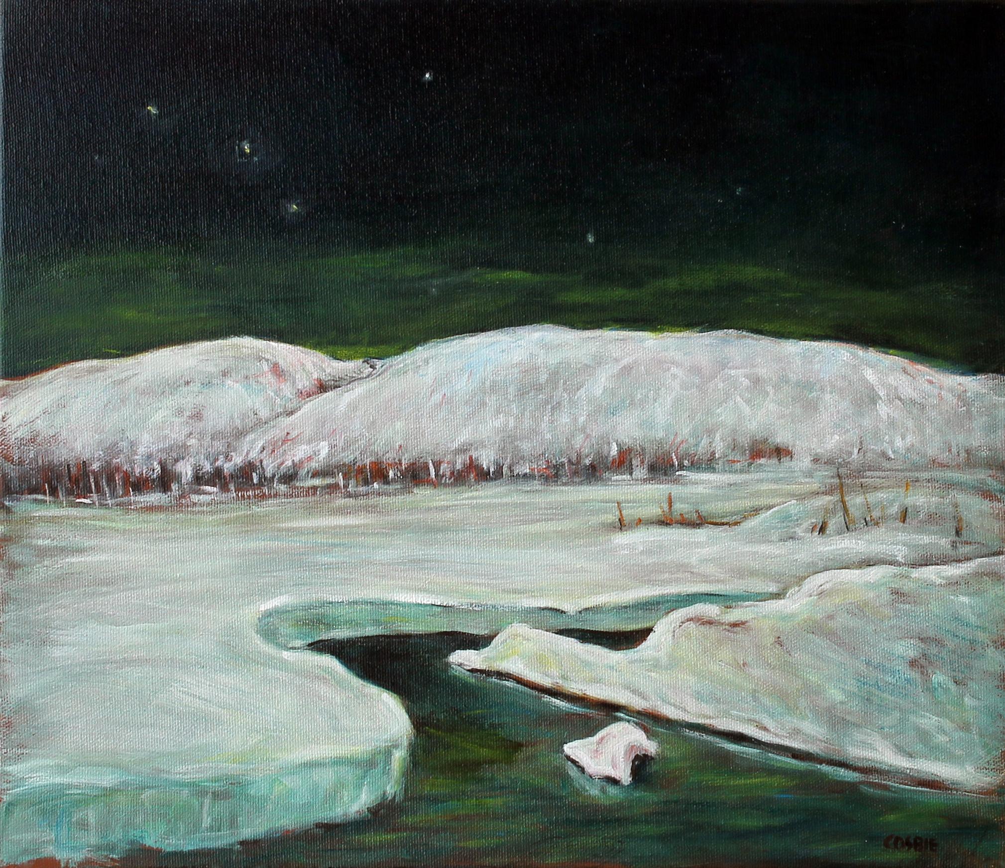 Winter Moonlight, Poconos, Oil Painting