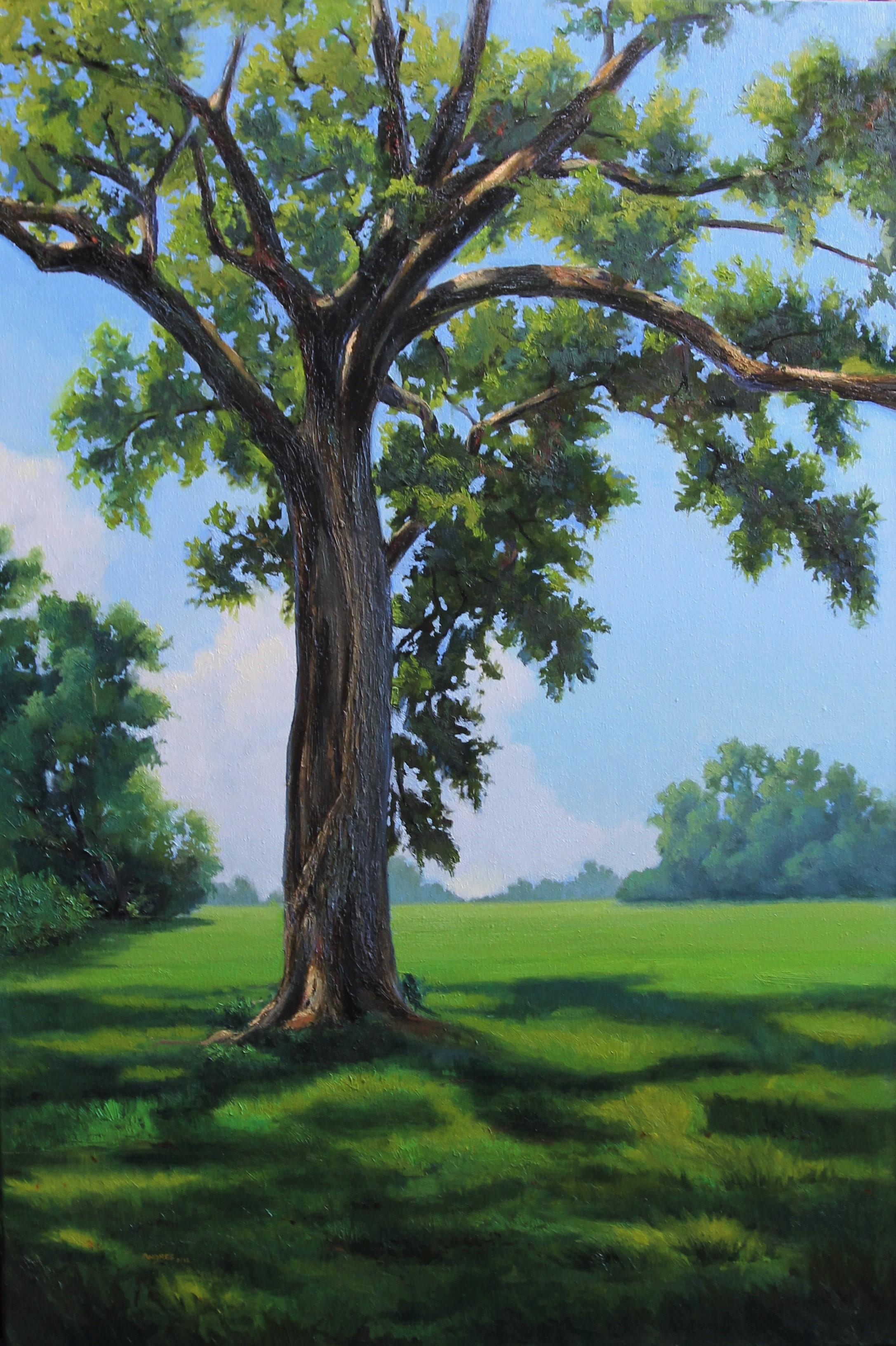 Andres Lopez Landscape Painting - Oak at the Indian Lands, Oil Painting