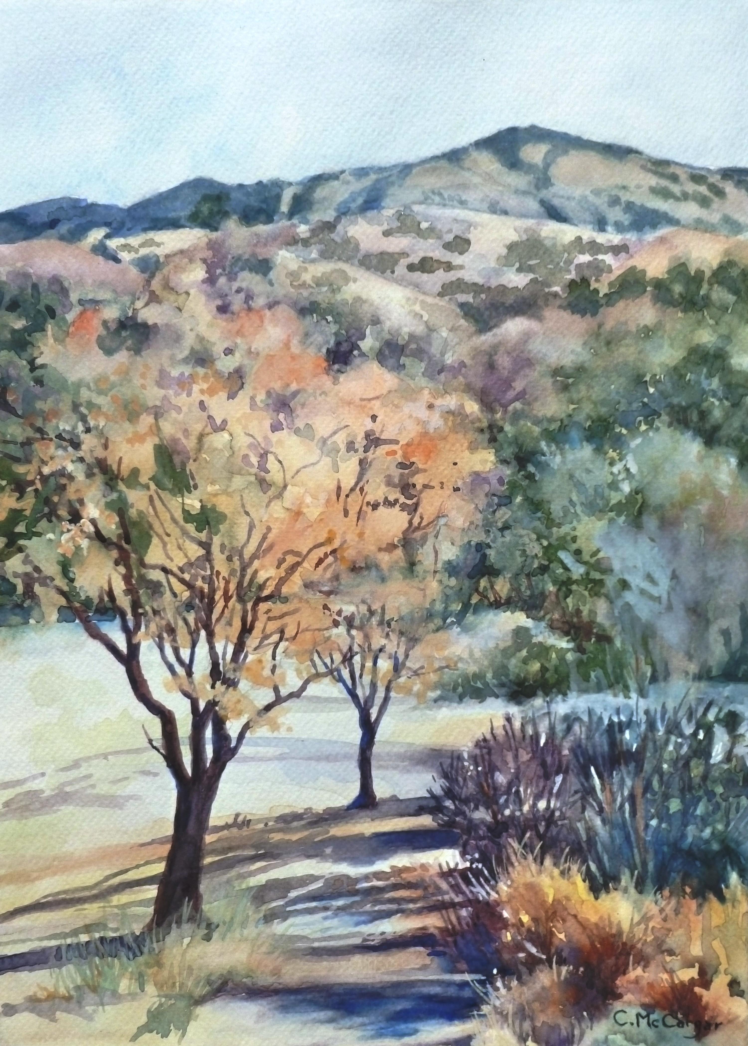 Mount Diablo, Zuckerhut-Ansicht, Originalgemälde – Art von Catherine McCargar