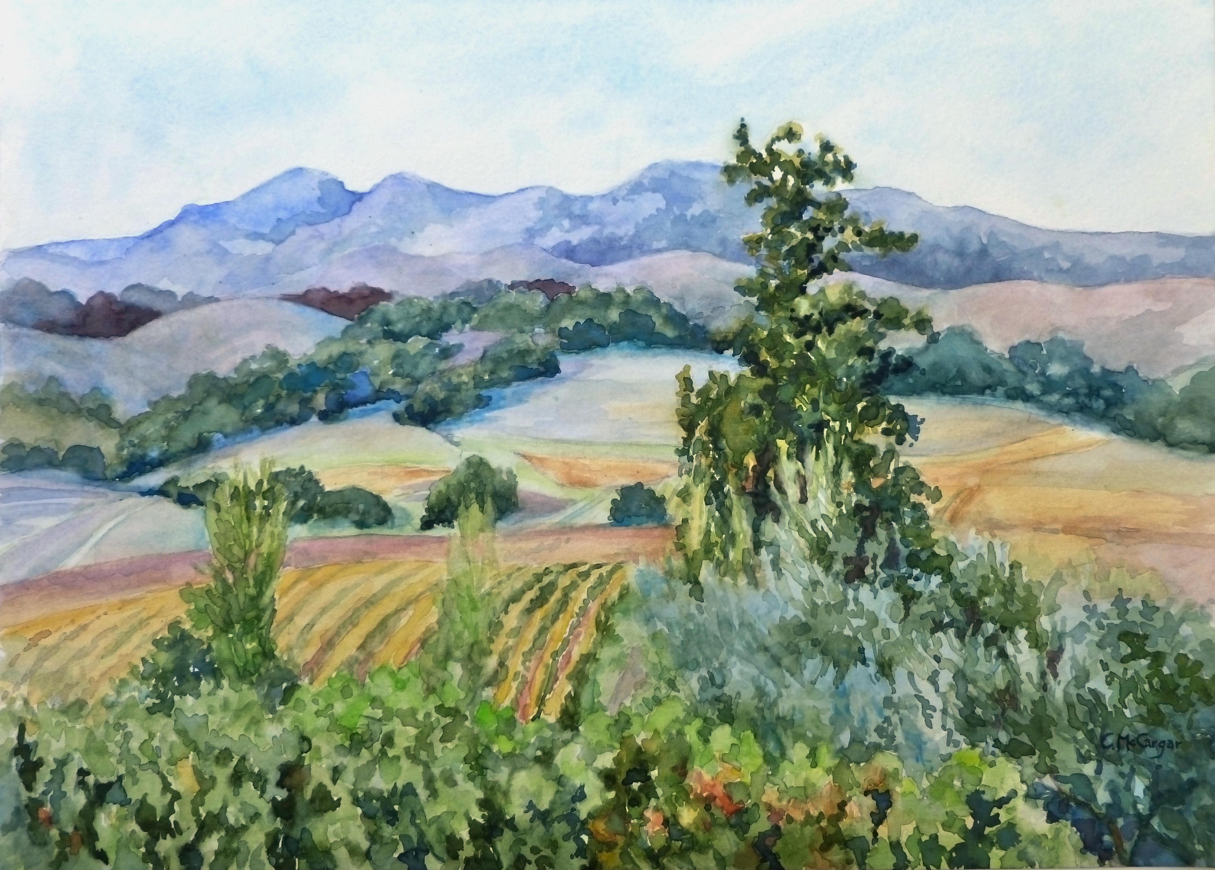 Sonoma Vineyards, Originalgemälde – Art von Catherine McCargar