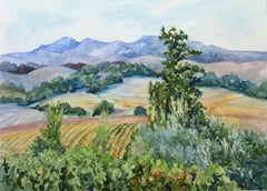 Sonoma Vineyards, Original Painting