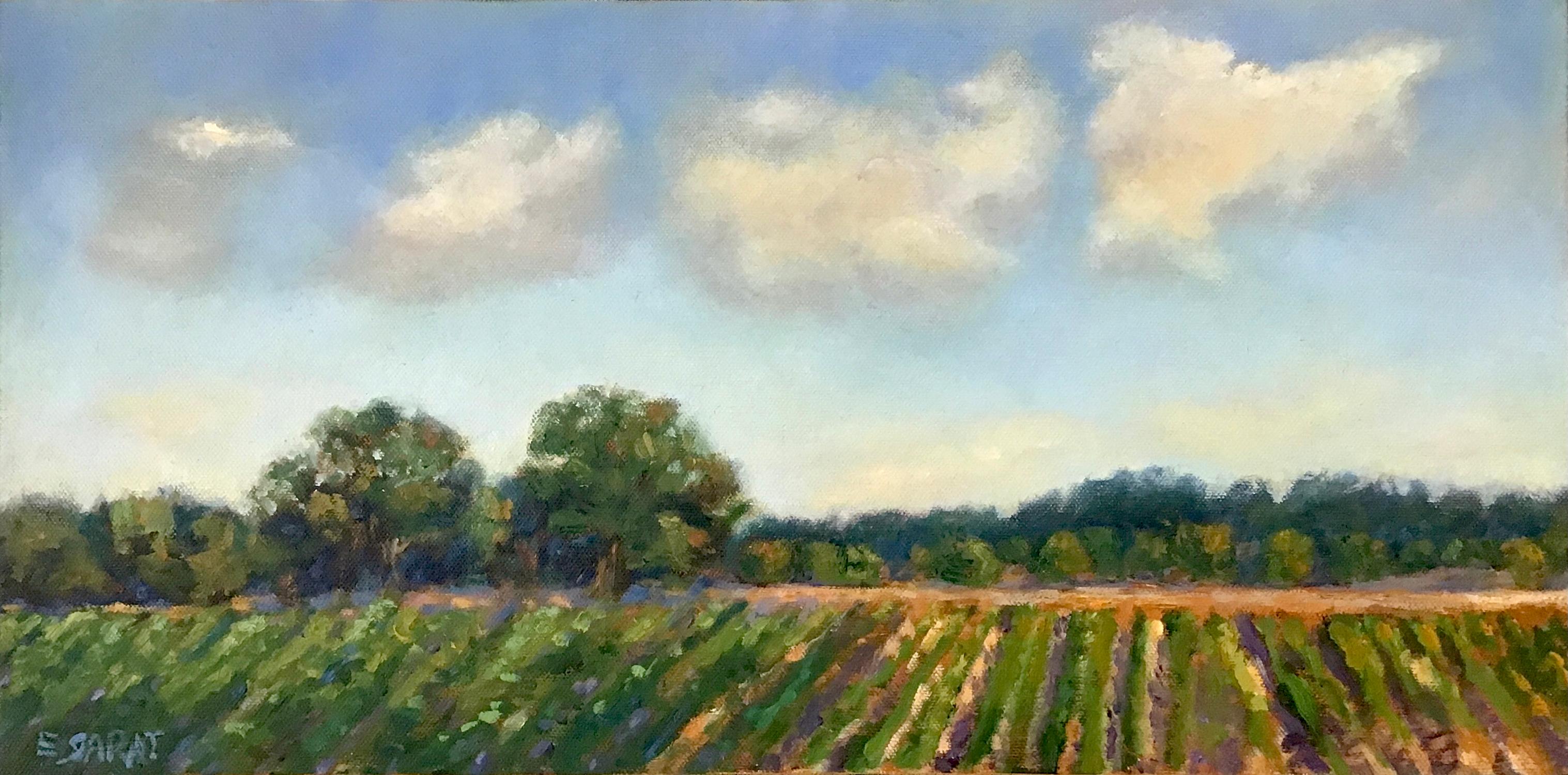 Sunday Afternoon, Delta Farmland, Oil Painting - Art by Elizabeth Garat