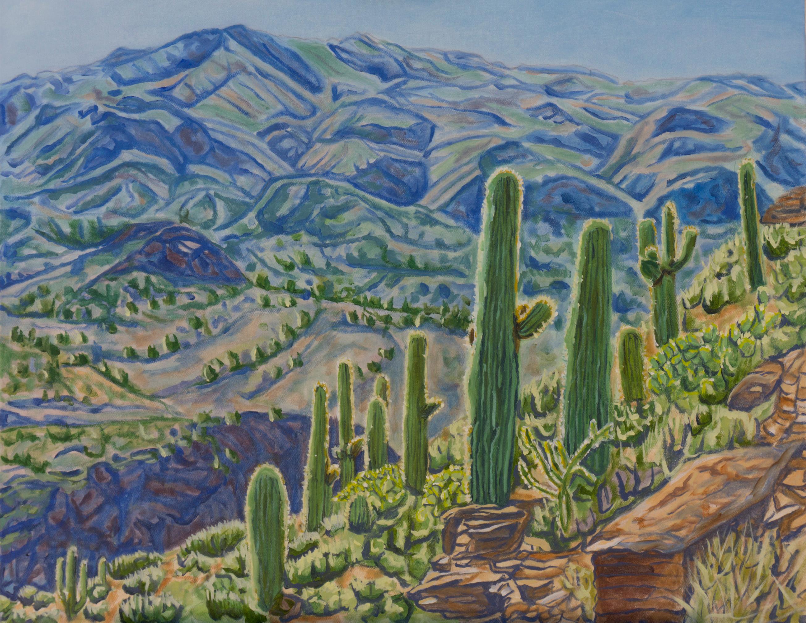 Crystal DiPietro Landscape Painting - Sonoran Hillside, Oil Painting