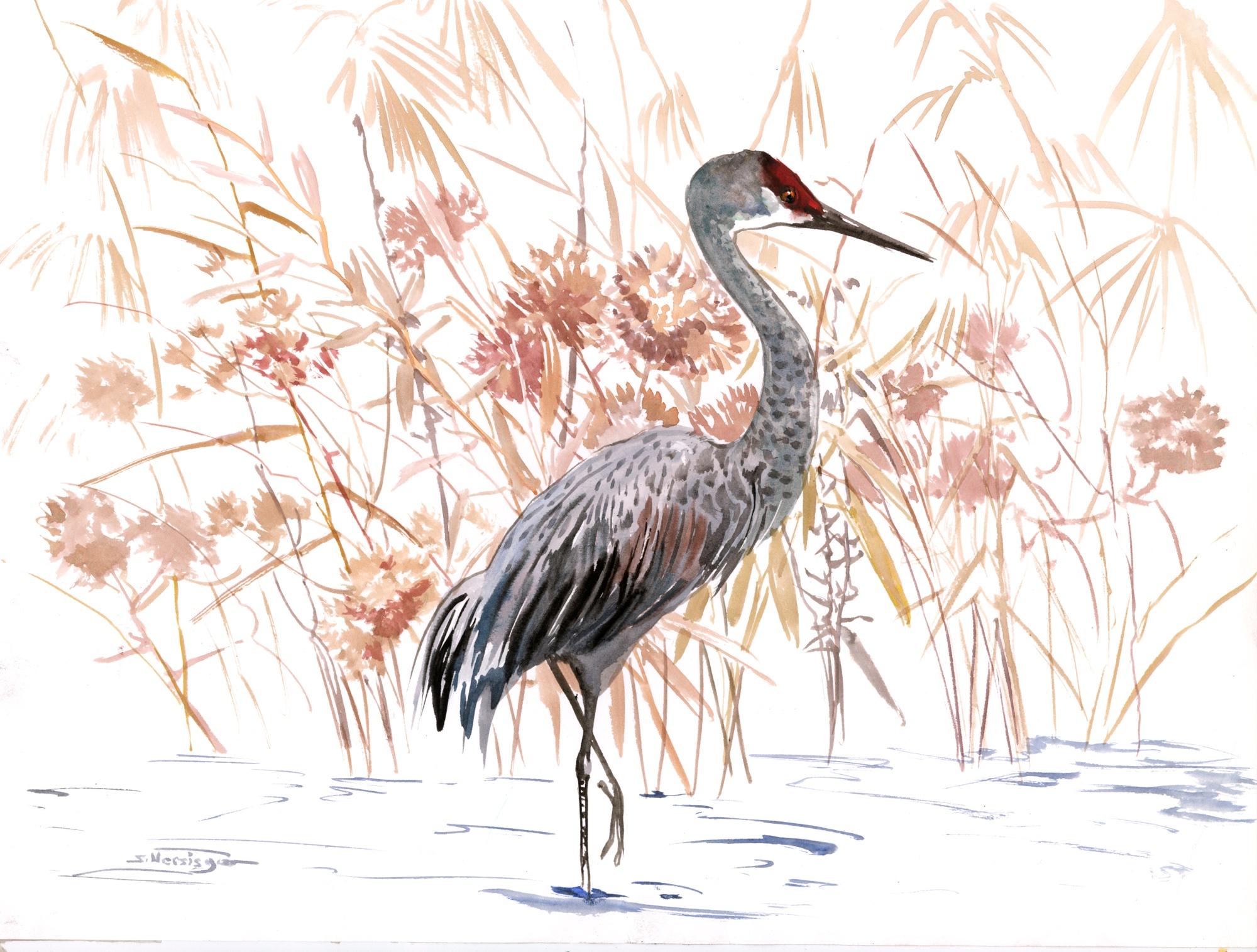 Sandhill Crane, Originalgemälde – Art von Suren Nersisyan
