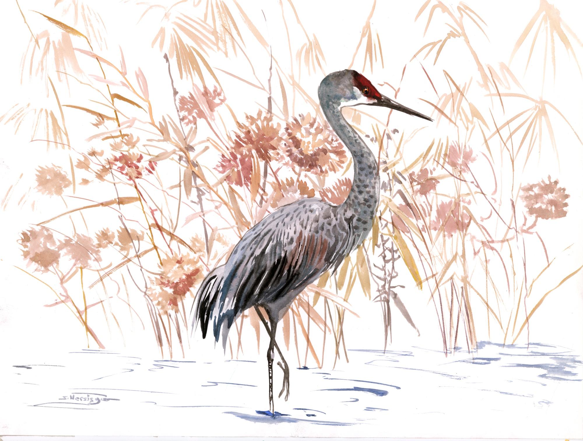 Sandhill Crane, Original Painting - Art by Suren Nersisyan