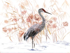 Sandhill Crane, Original Painting