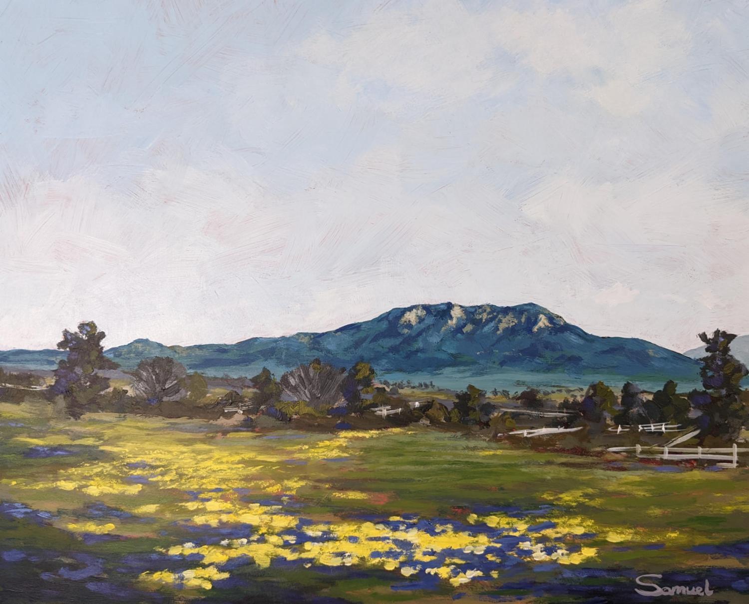 Majestic Cahuilla  Mountain and Spring Blossoms, Original Painting - Art by Samuel Pretorius