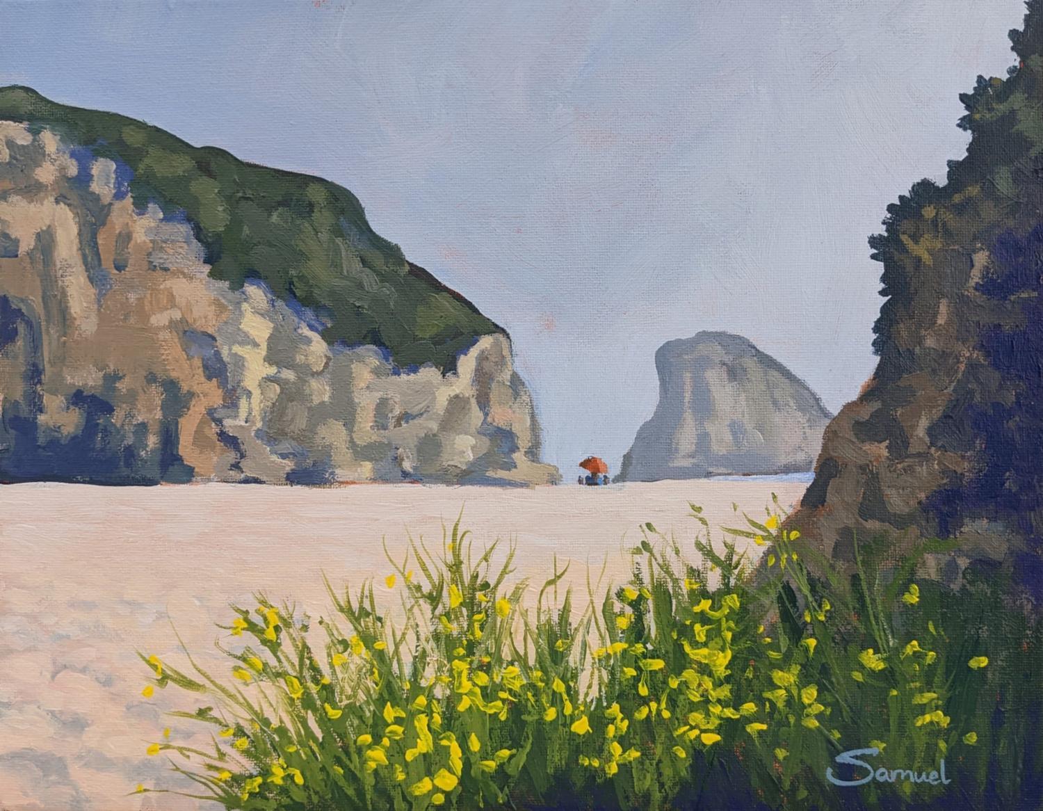 Landscape Painting di Samuel Pretorius - La roccia della pinna di squalo, Santa Cruz, con un'esplosione di fiori gialli, dipinto originale
