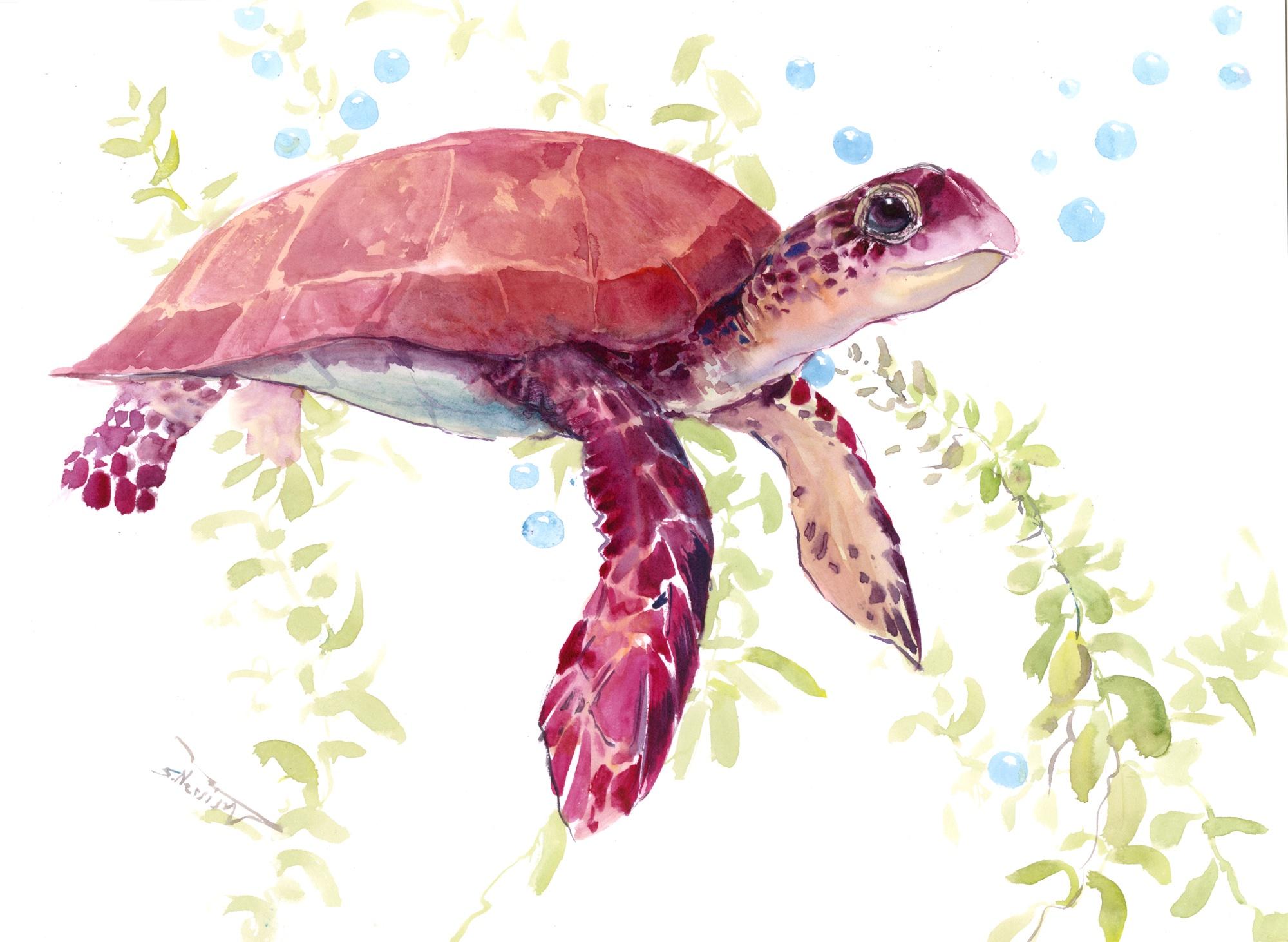 Schildkrötenpanzer, Originalgemälde – Art von Suren Nersisyan