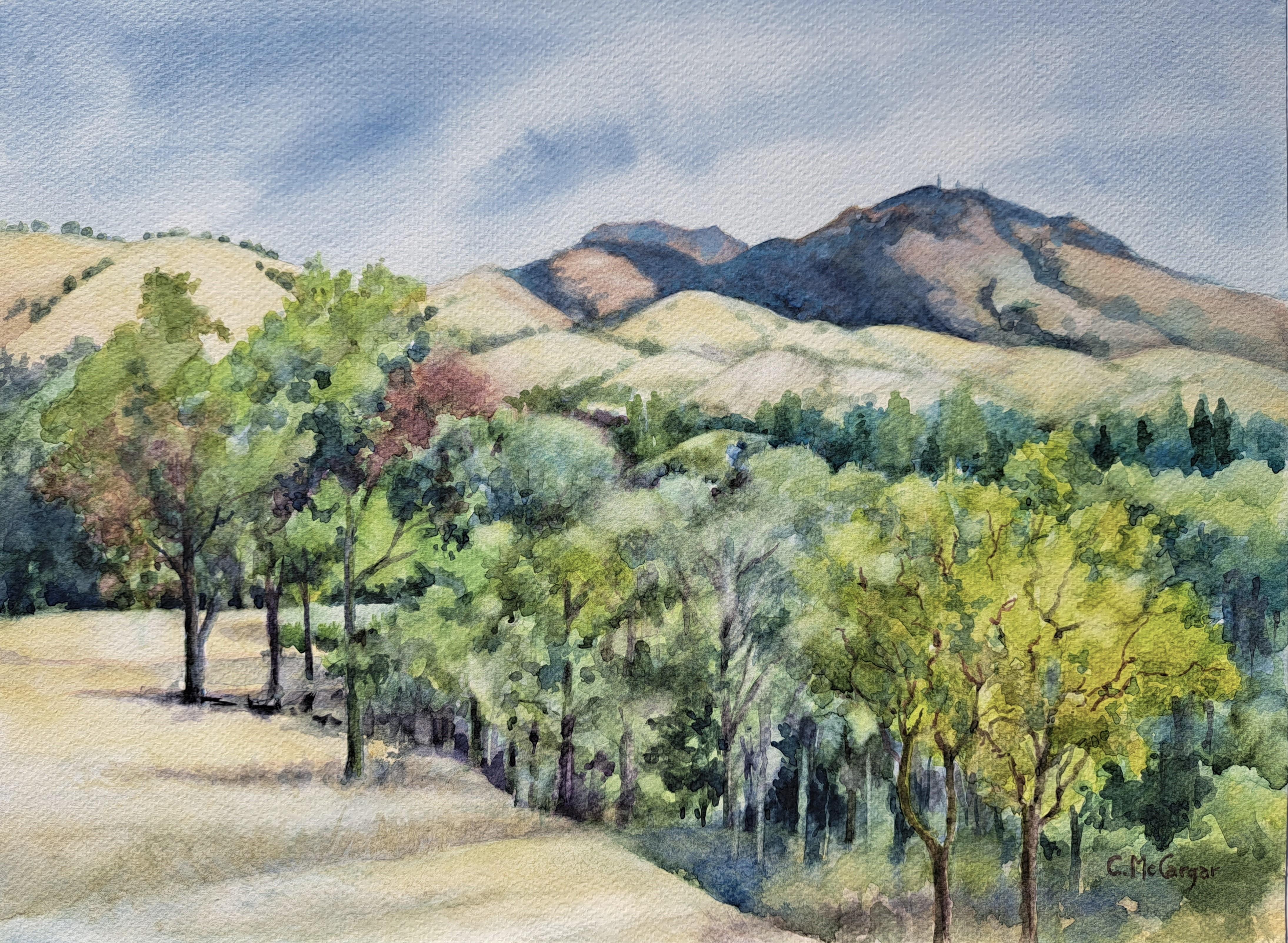 Mt. Diablo Tief und breit, Originalgemälde – Art von Catherine McCargar