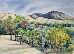 Mt. Diablo Deep and Wide, Original Painting