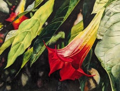 Garden Trumpets, Original Painting