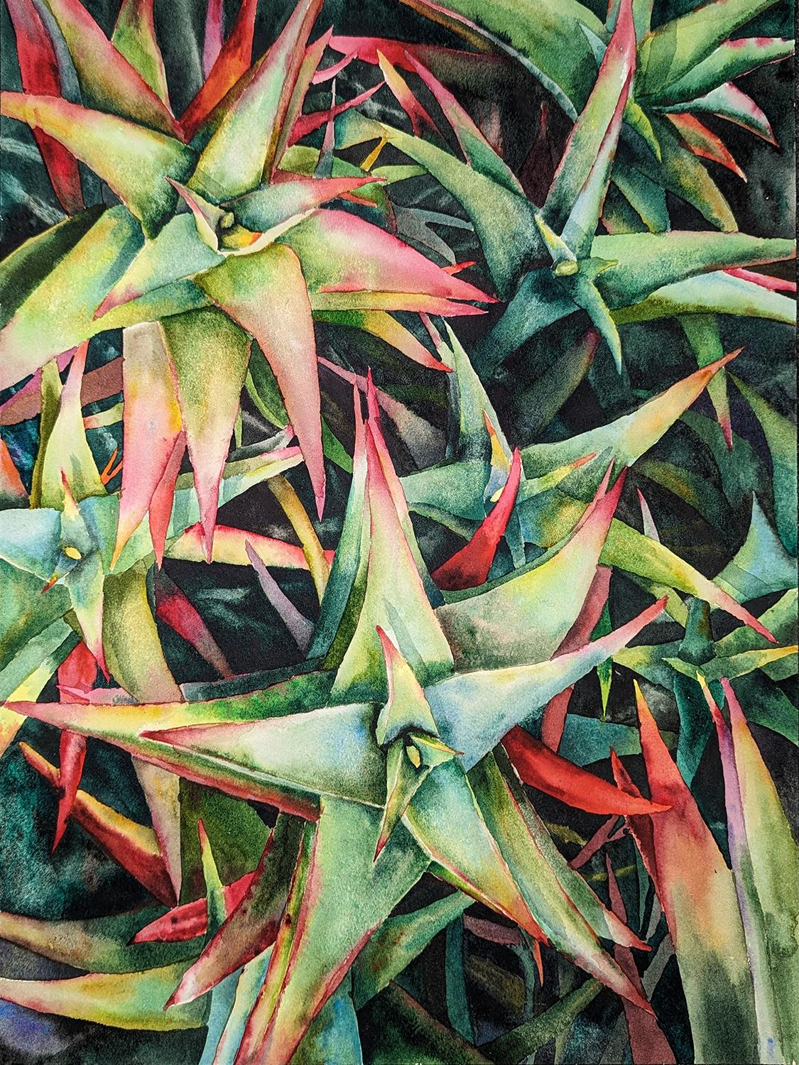 Jinny Tomozy Still-Life - Succulent Stars, Original Painting