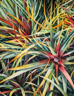 Regenbogen Succulents, Originalgemälde