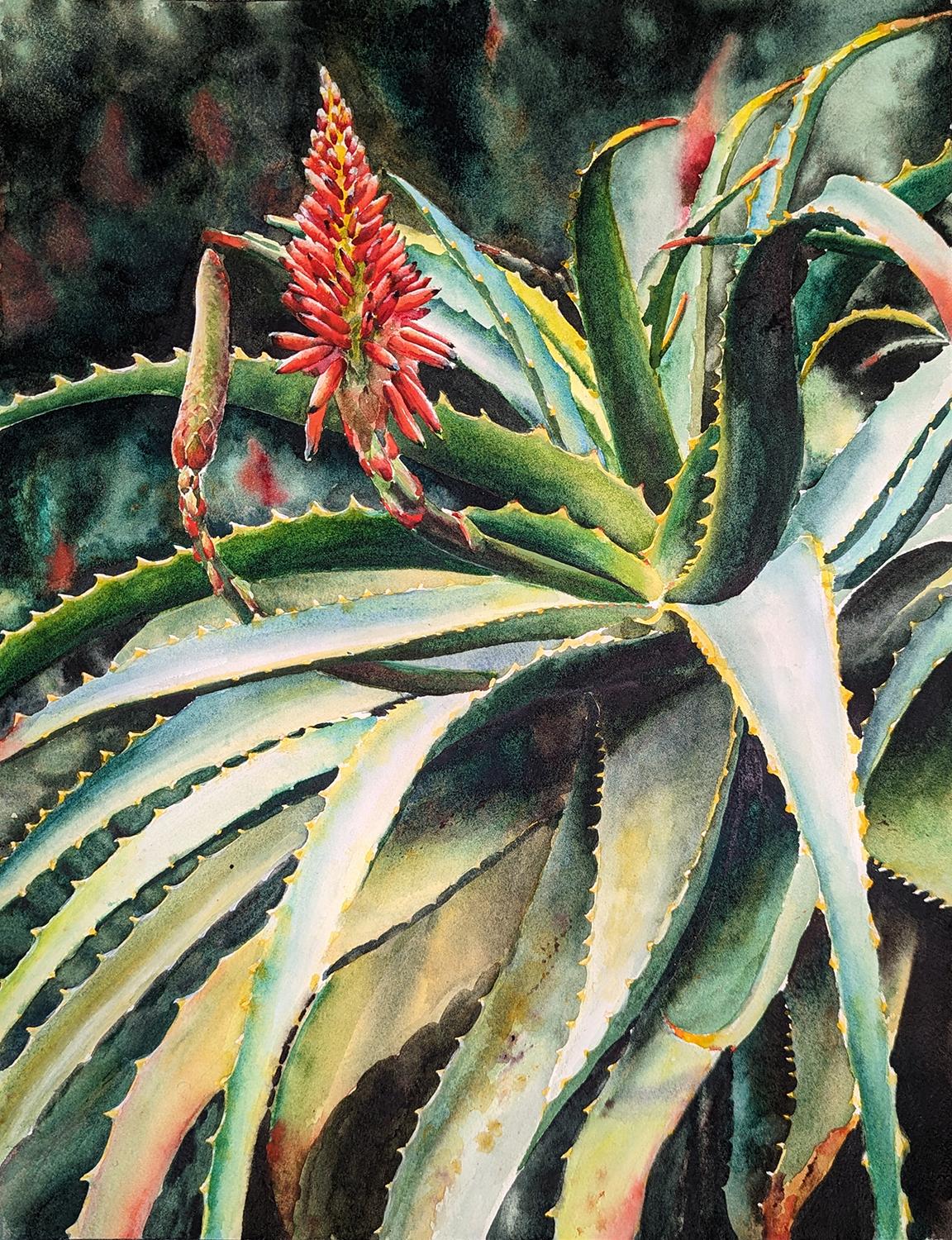 Jinny Tomozy Still-Life – Blooming Succulents, Originalgemälde