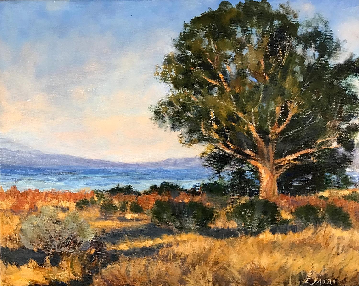 Still-Life Painting Elizabeth Garat - L'aîné de la côte à Cayucos, peinture à l'huile