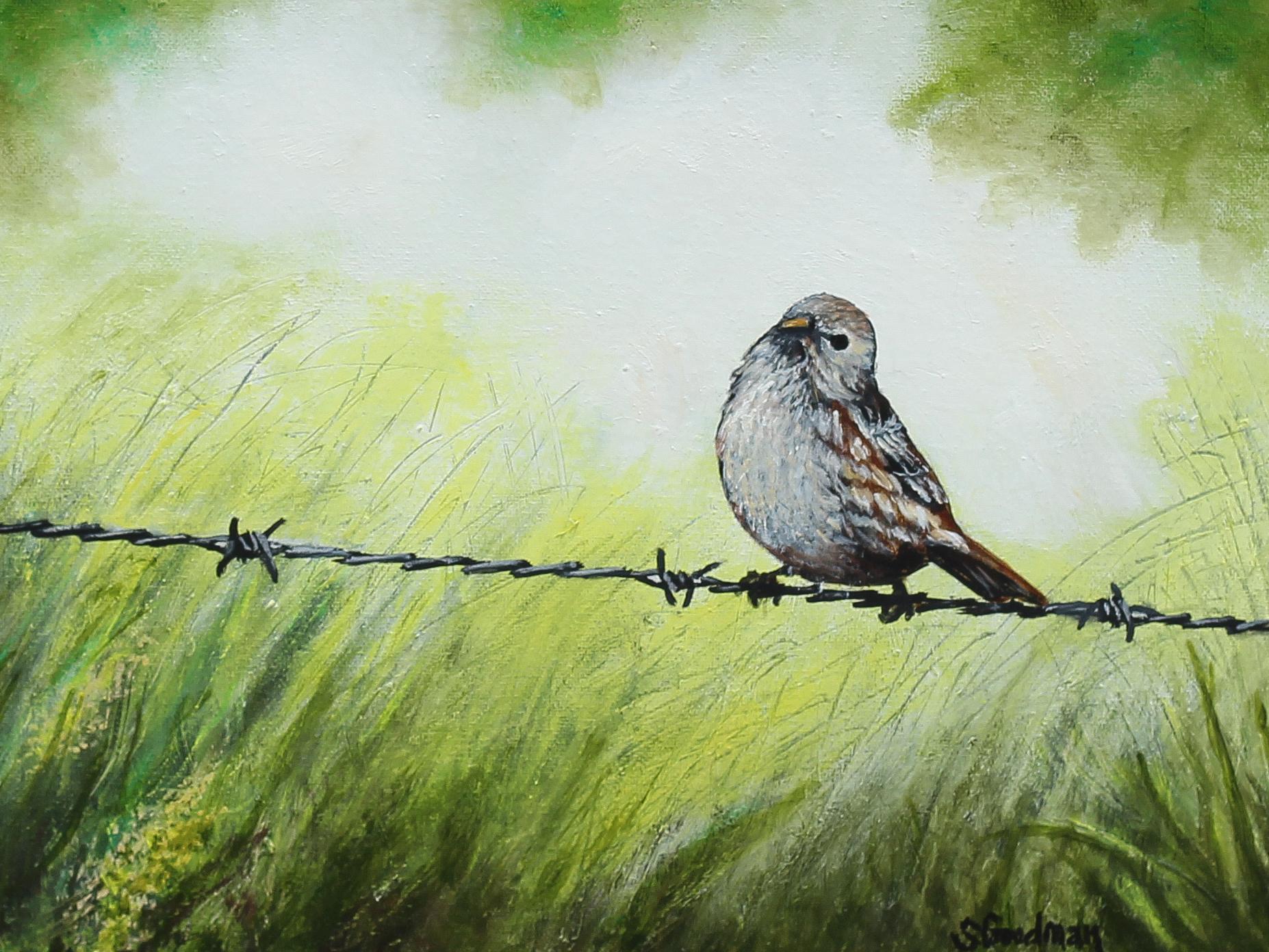 Oiseau sur un fil barbelé, peinture à l'huile