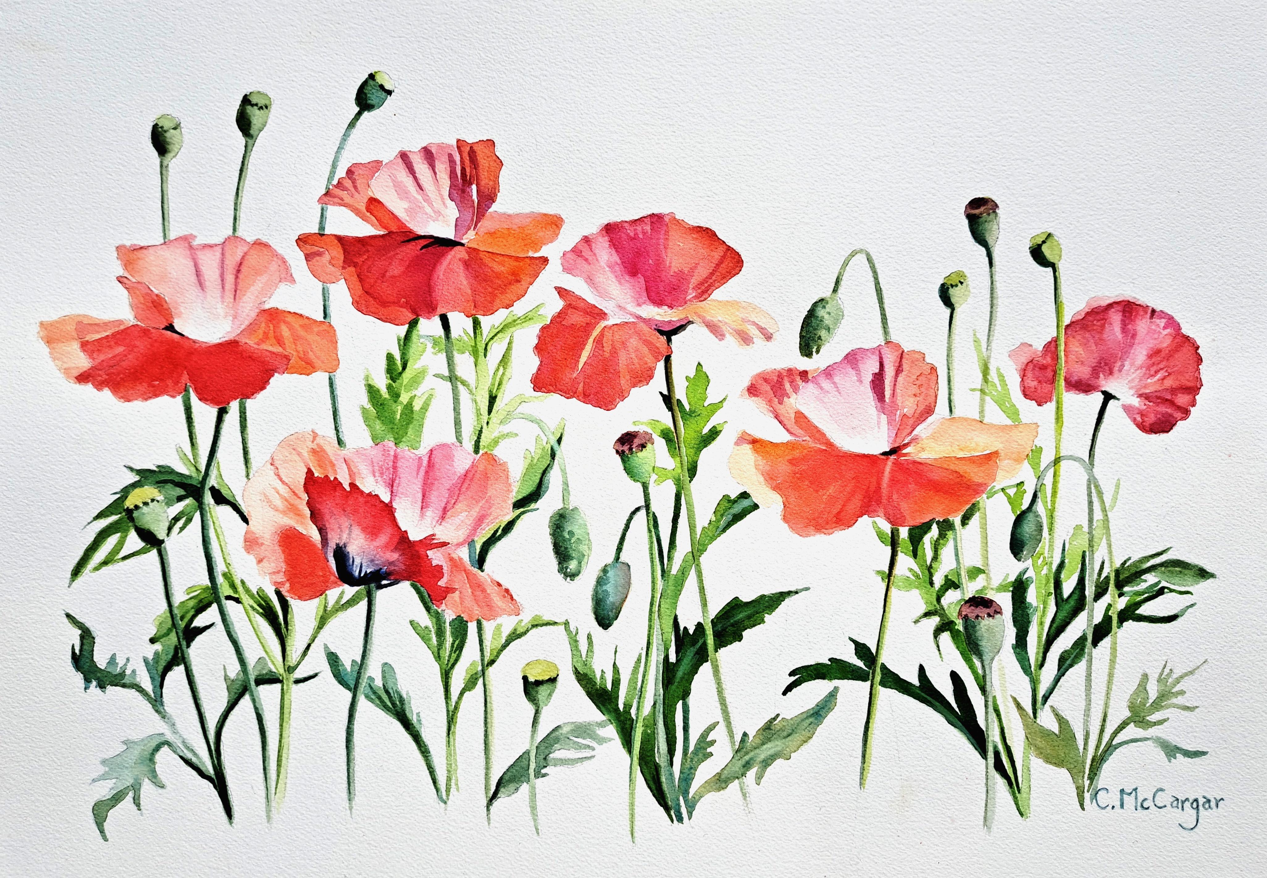 Poppies Aflutter, Original Painting - Art by Catherine McCargar