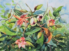 Peinture originale d'un libellule et d'un vin de port Magnolia