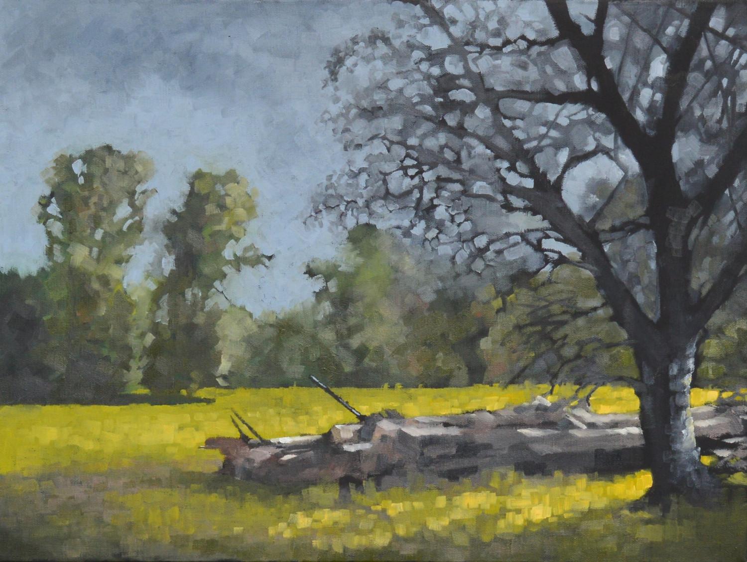 David Thelen Landscape Painting - Fallen Timber, Oil Painting