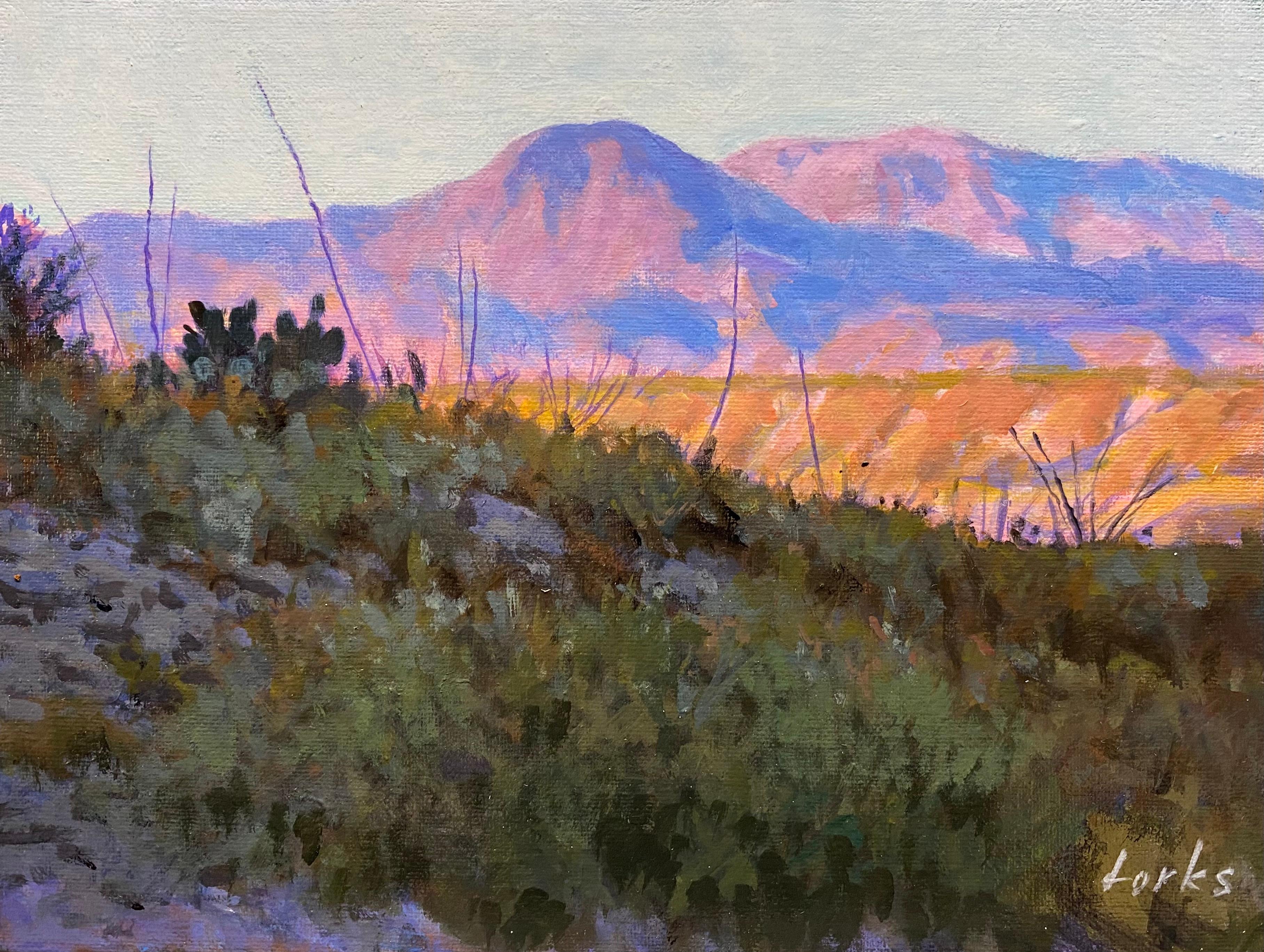 Lampe du désert, peinture originale - Art de David Forks