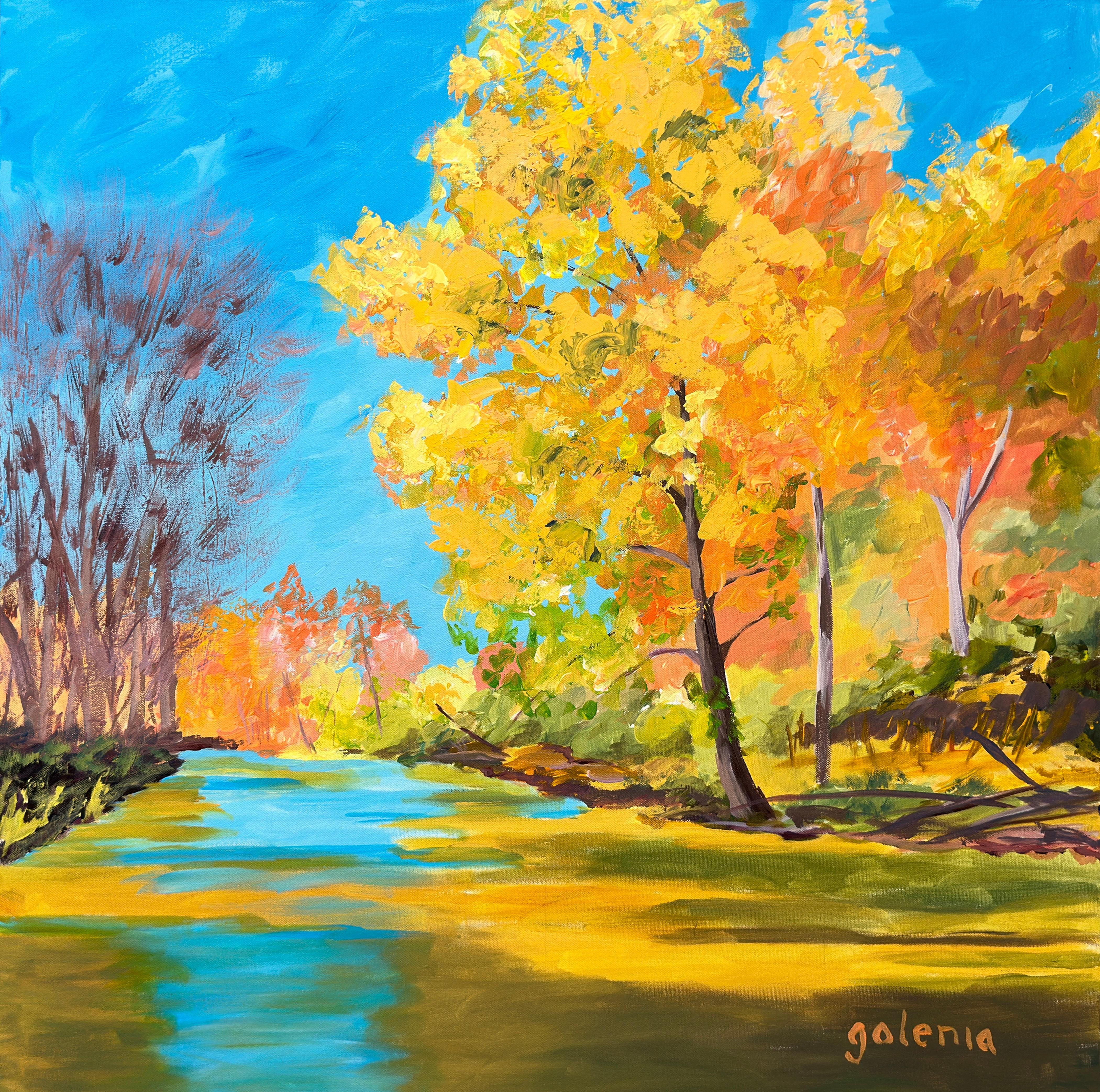 North Carolina Starship, Original Painting - Art by JoAnn Golenia