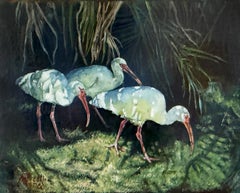 Ibis and Shadows, Oil Painting