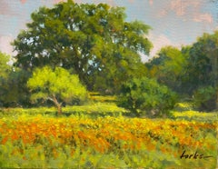 Wildflowers West of Marble Falls, peinture à l'huile
