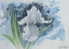 White Iris, Original Painting