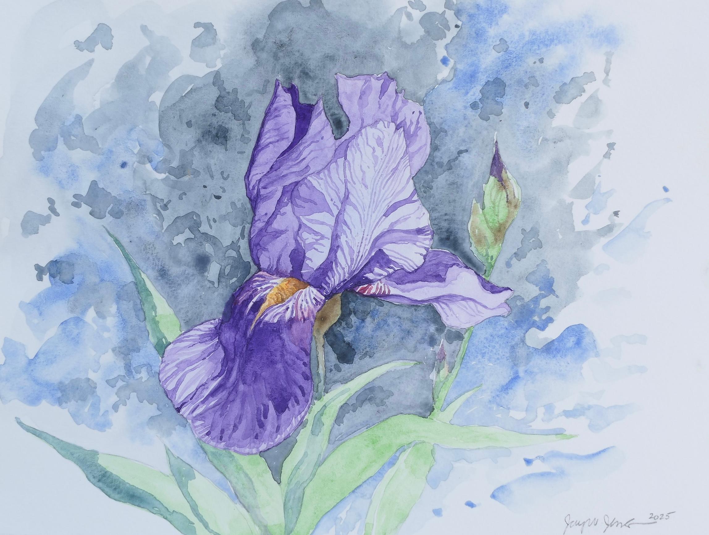 Iris púrpura nº 1, Pintura original