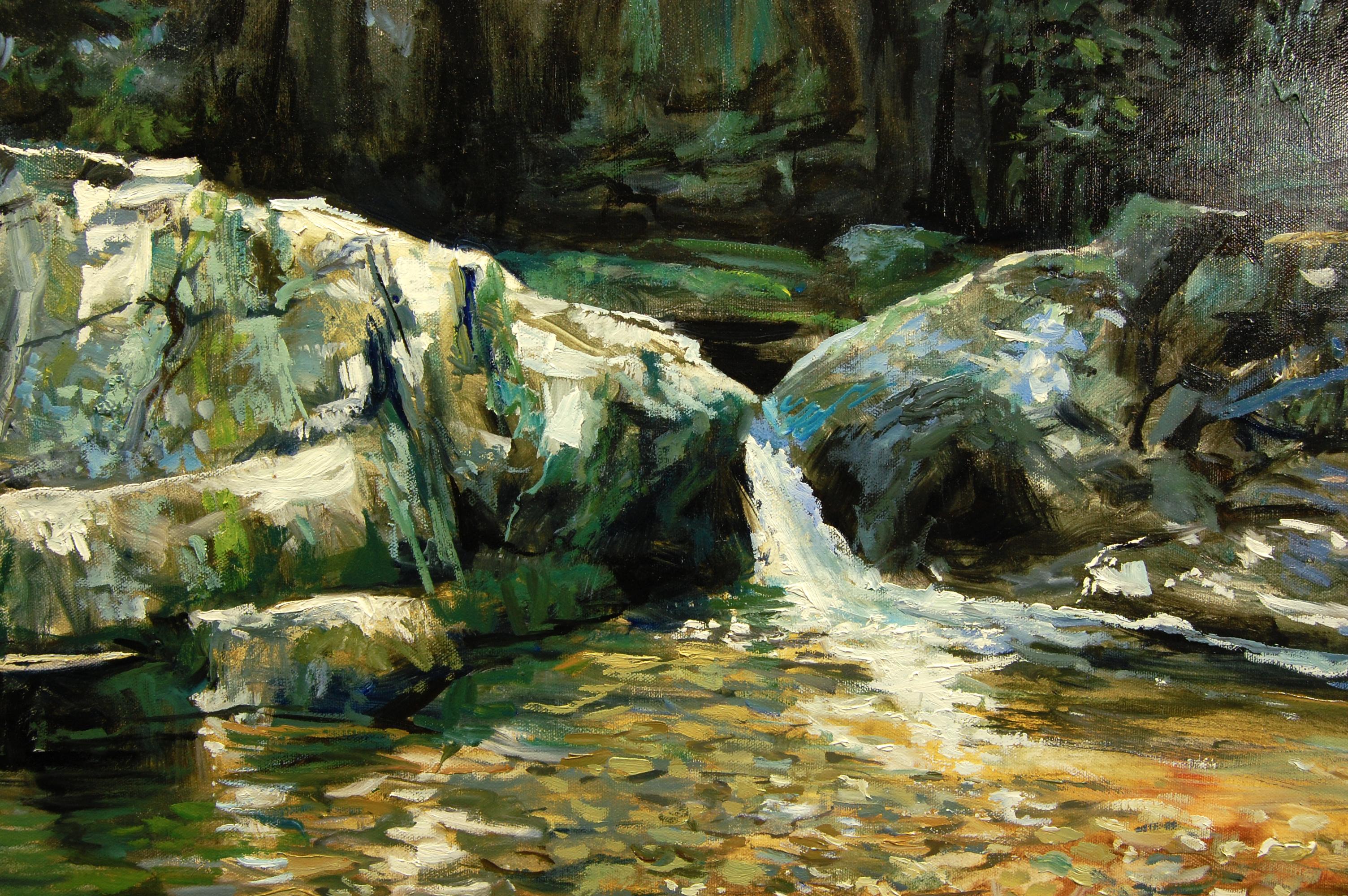 Fenditura tra i massi, Pittura a olio 1