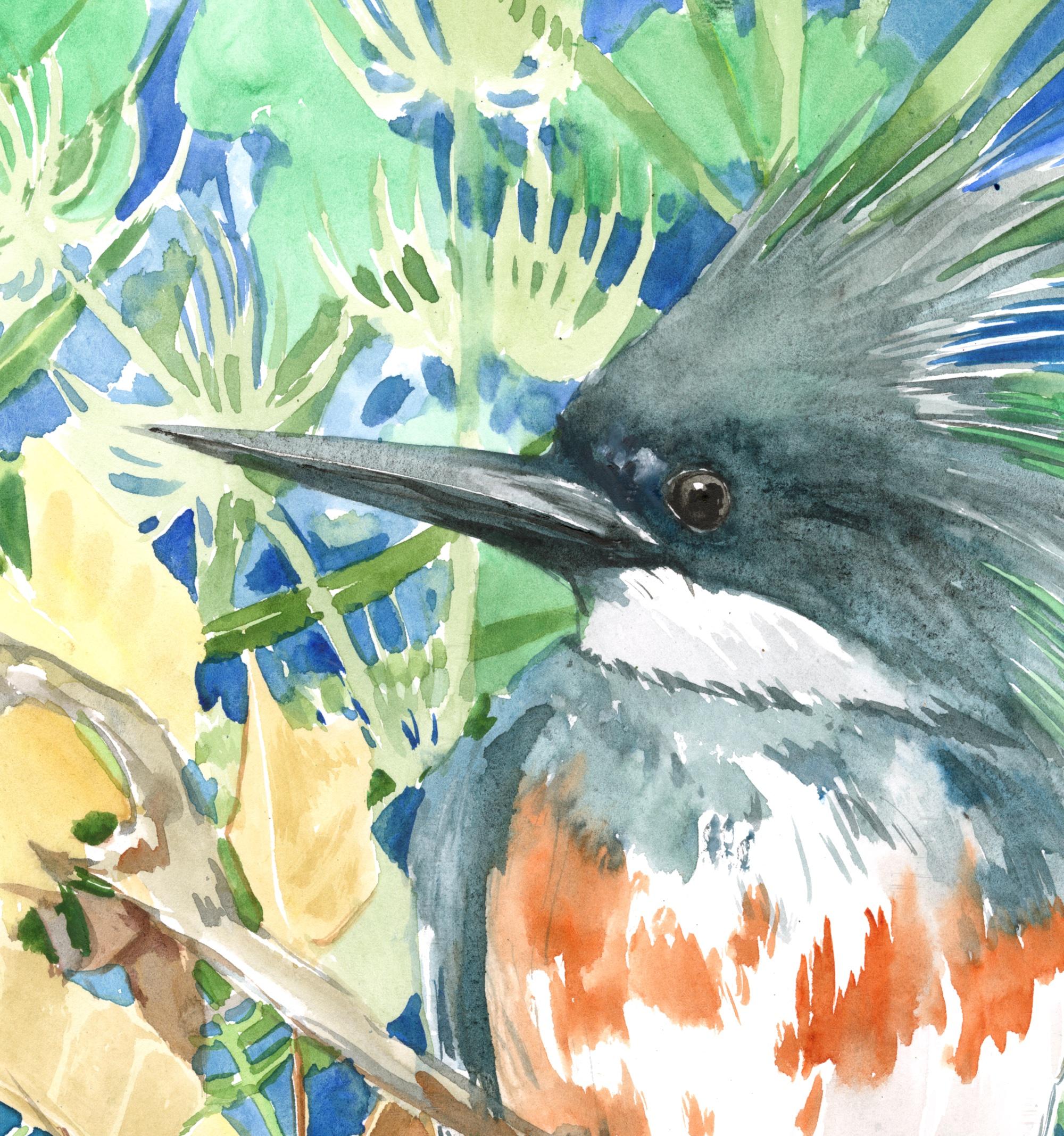 belted kingfisher painting