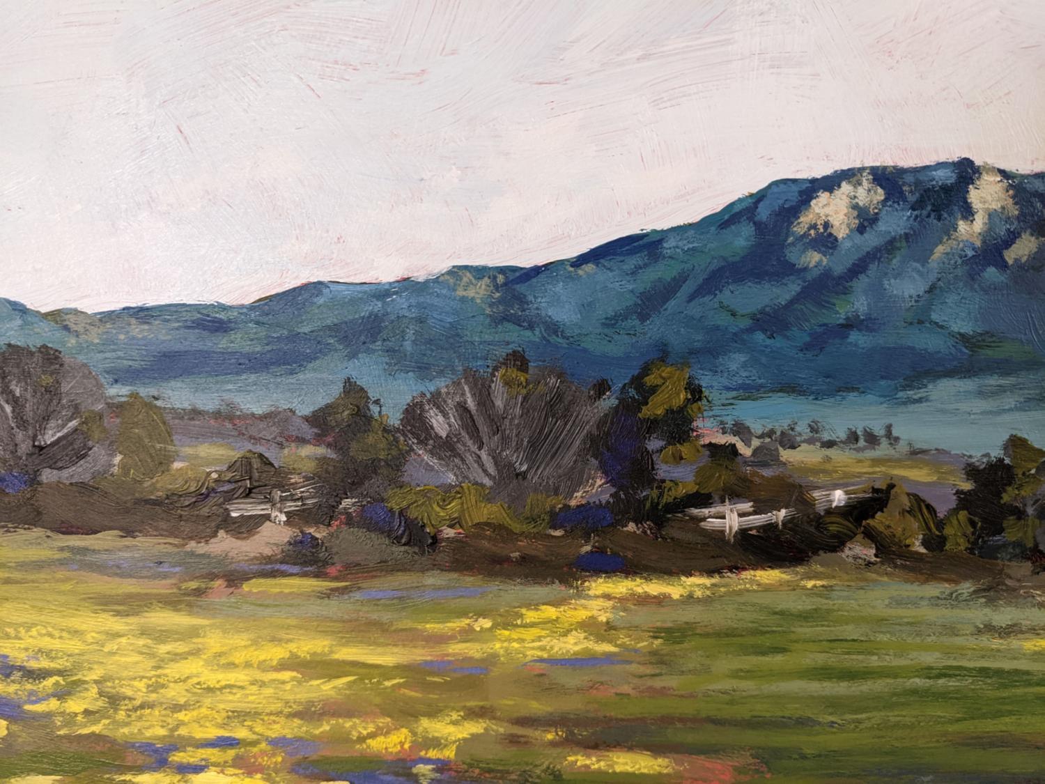 <p>Artist Comments<br />Artist Samuel Pretorius demonstrates an impressionist landscape of the scenic mountains of California. Bright yellow spring flowers carpet the ground, interspersed with splashes of purple. The majestic Cahuilla mountain