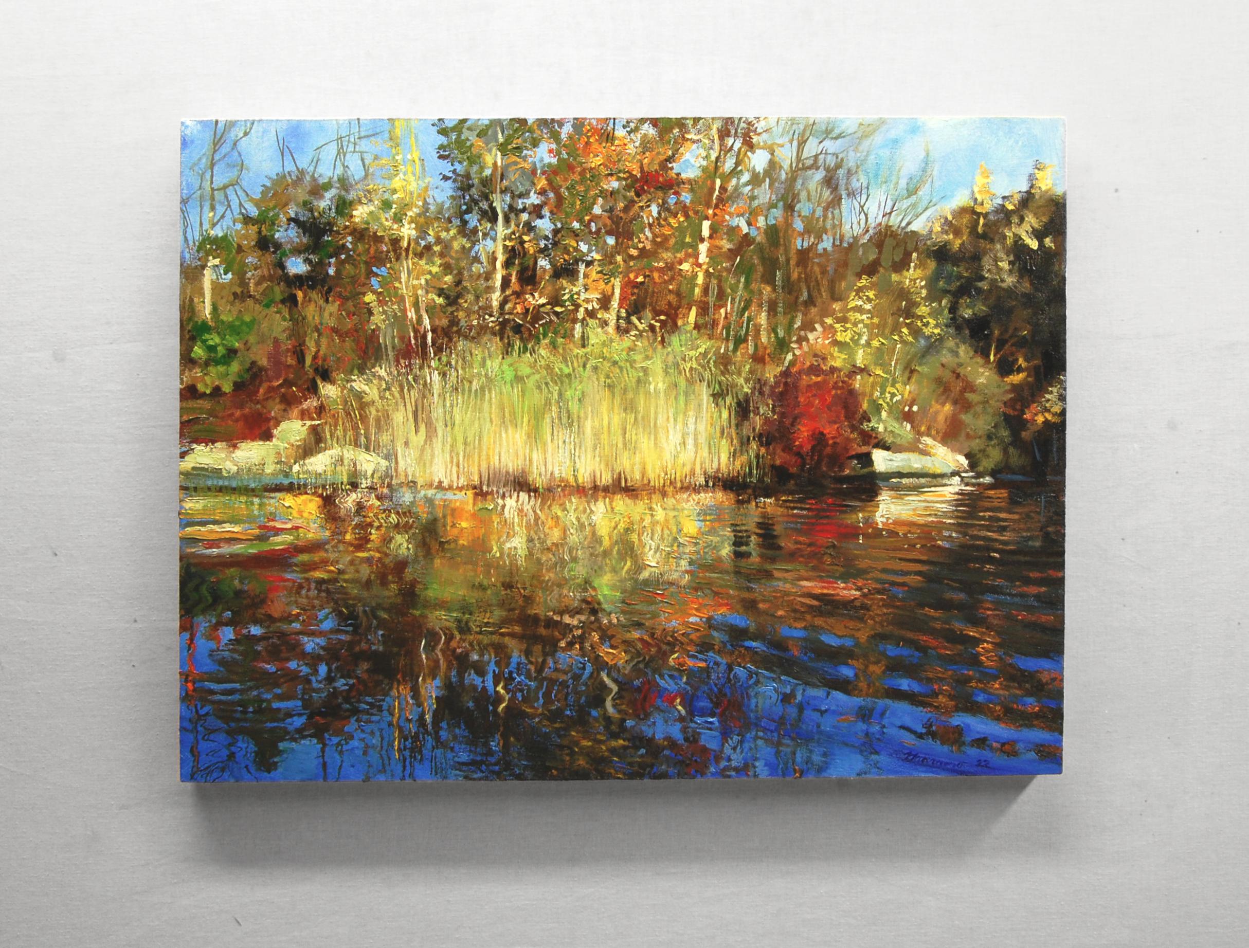 <p>Commentaires de l'artiste<br>L'artiste Onelio Marrero montre un étang ondulant entouré de couleurs automnales dorées. Fait partie de sa série qui explore les surfaces scintillantes des étangs et des lacs. Onelio invite le spectateur à apprécier