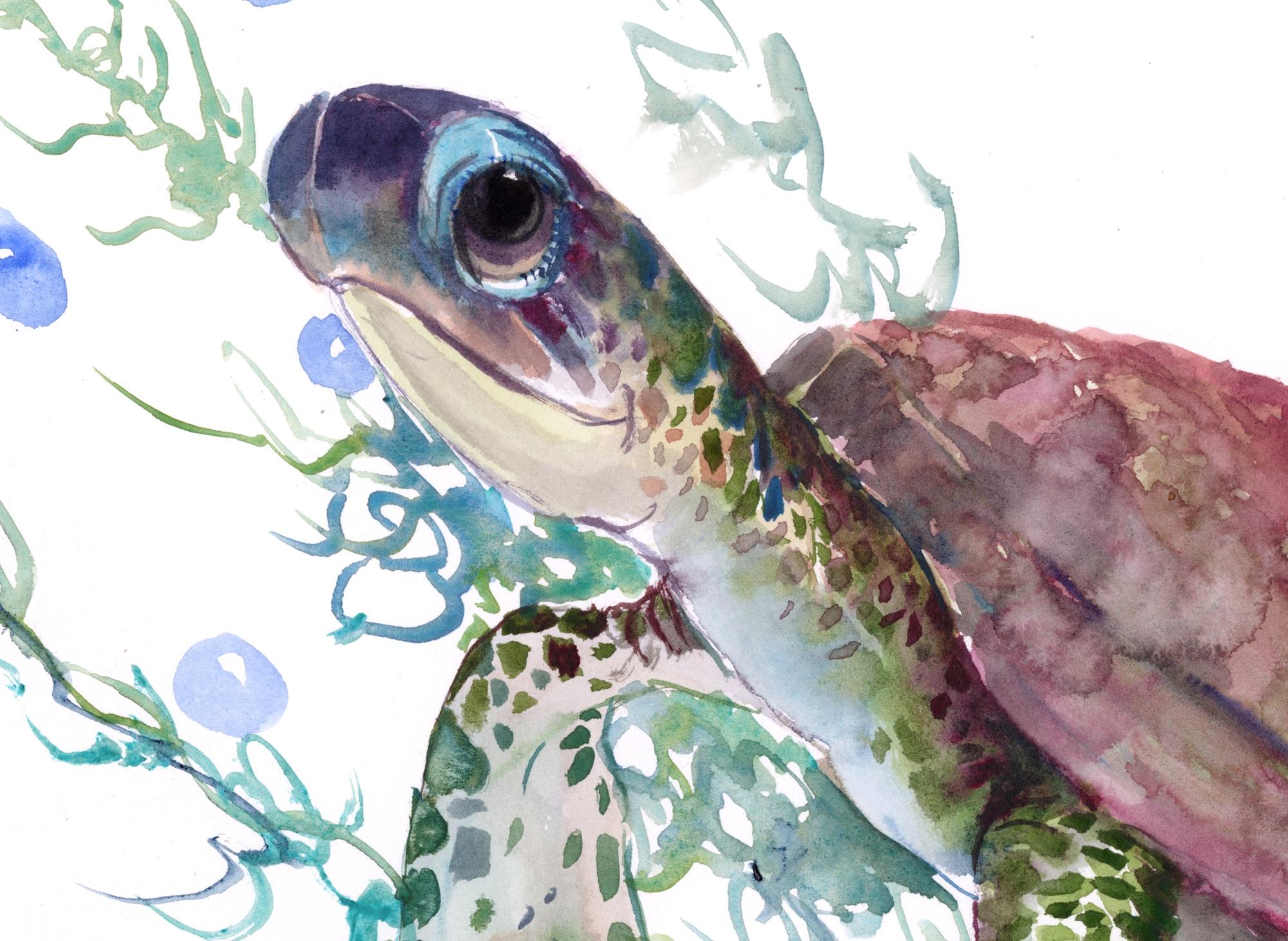 <p>Commentaires des artistes<br>L'artiste Suren Nersisyan partage une tortue heureuse nageant sous l'eau. Il peint avec une palette d'aquarelle douce, par touches légères et délicates. Des bulles et des algues dérivent le long du courant fort tandis