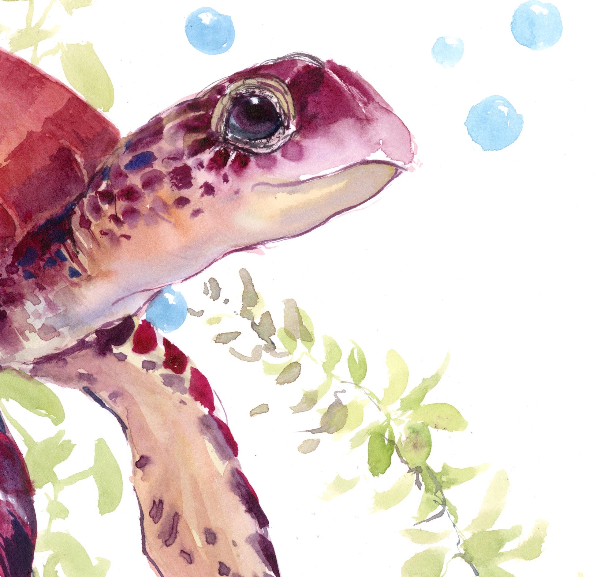<p>Kommentare des Künstlers<br>Der Künstler Suren Nersisyan zeigt ein impressionistisches Porträt einer charmanten roten Meeresschildkröte. Er stellt sich das schalenförmige Reptil vor, das im erfrischenden Ozean schwimmt. Seetangblätter schwimmen