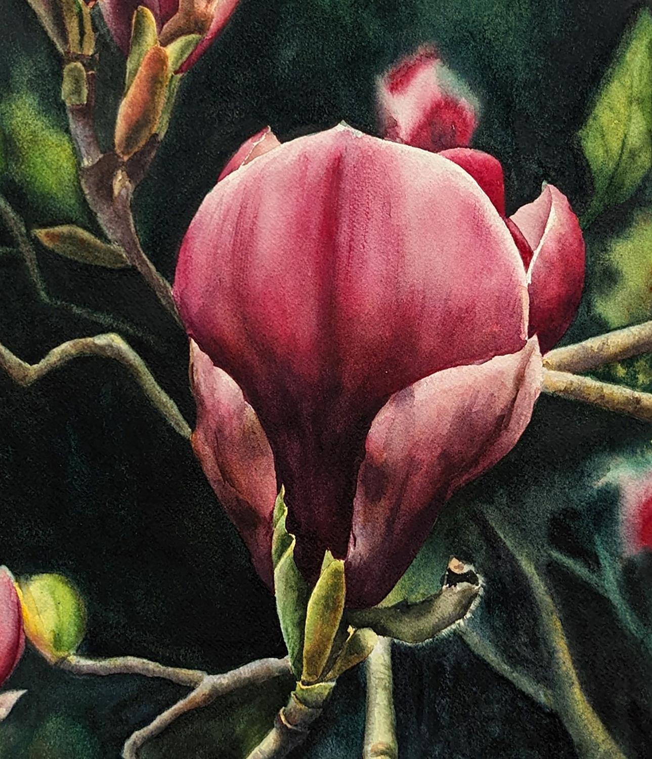 <p>Commentaires de l'artiste<br>L'artiste Jinny Tomozy présente un rendu réaliste de magnolias en fleurs. Les globes cramoisis de la fleur présentent un merveilleux contraste de formes bulbeuses au sommet de branches grêles et déchiquetées. 