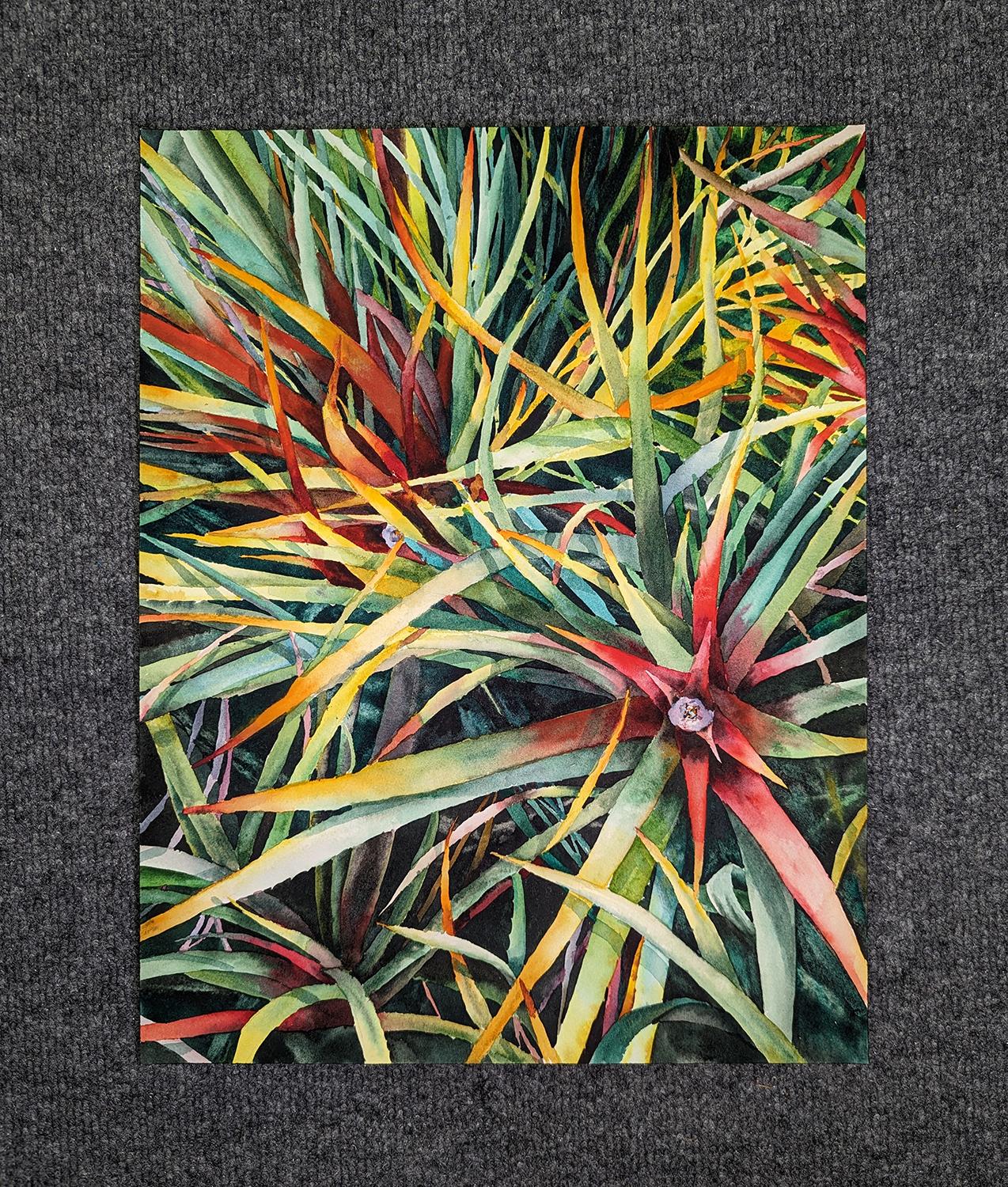 Rainbow Succulents, Original Painting - American Realist Art by Jinny Tomozy