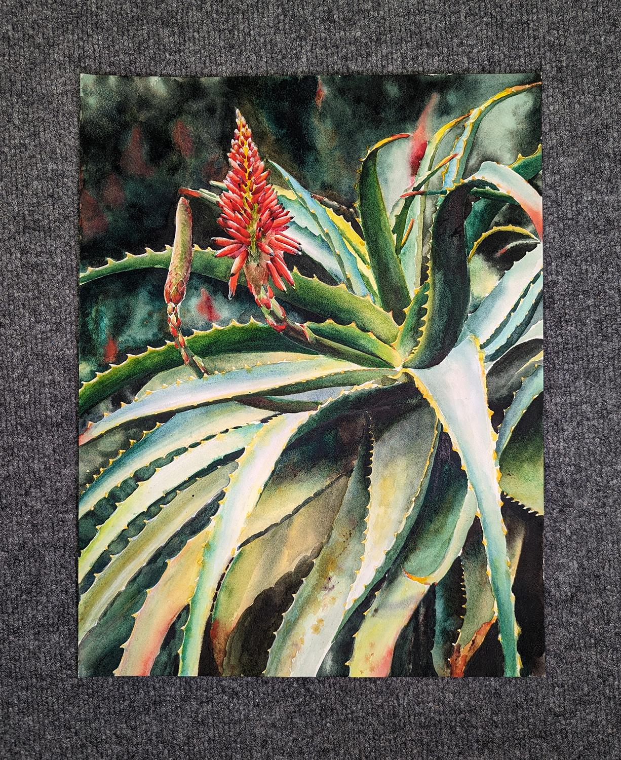Blooming Succulents, Originalgemälde (Amerikanischer Realismus), Art, von Jinny Tomozy